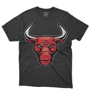 Chicago Bulls Classic Logo Tees