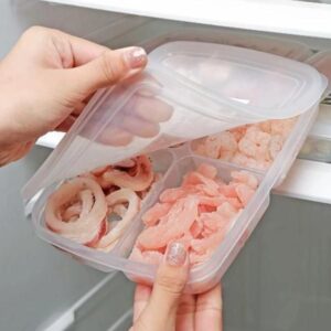 Portable 4 Compartment Fresh Keeping Refrigerator Food Storage Box